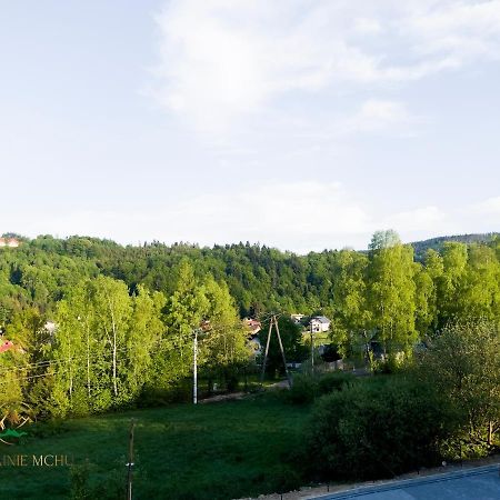 Apartamenty "Kwiaty Nocy" I "W Krainie Mchu" - Wisla Wisła Exterior foto