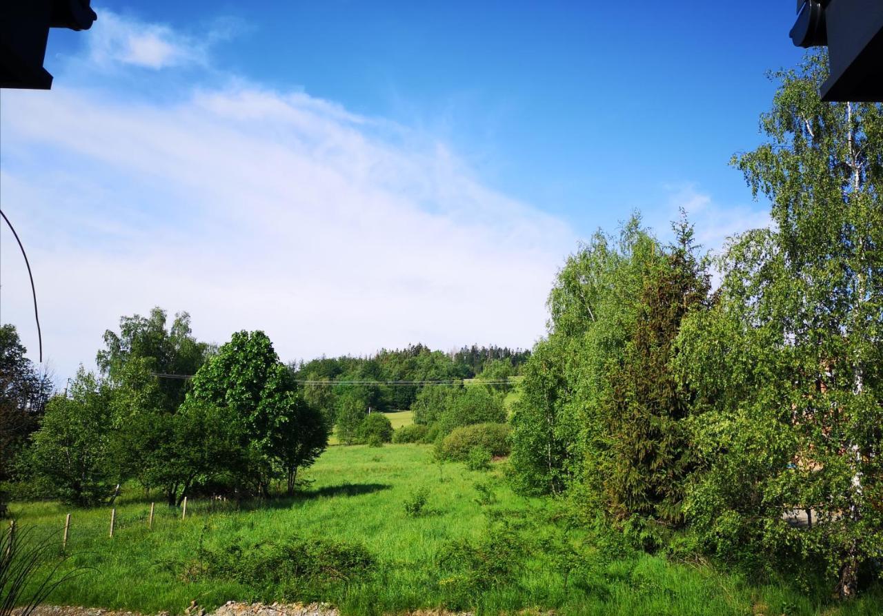 Apartamenty "Kwiaty Nocy" I "W Krainie Mchu" - Wisla Wisła Exterior foto