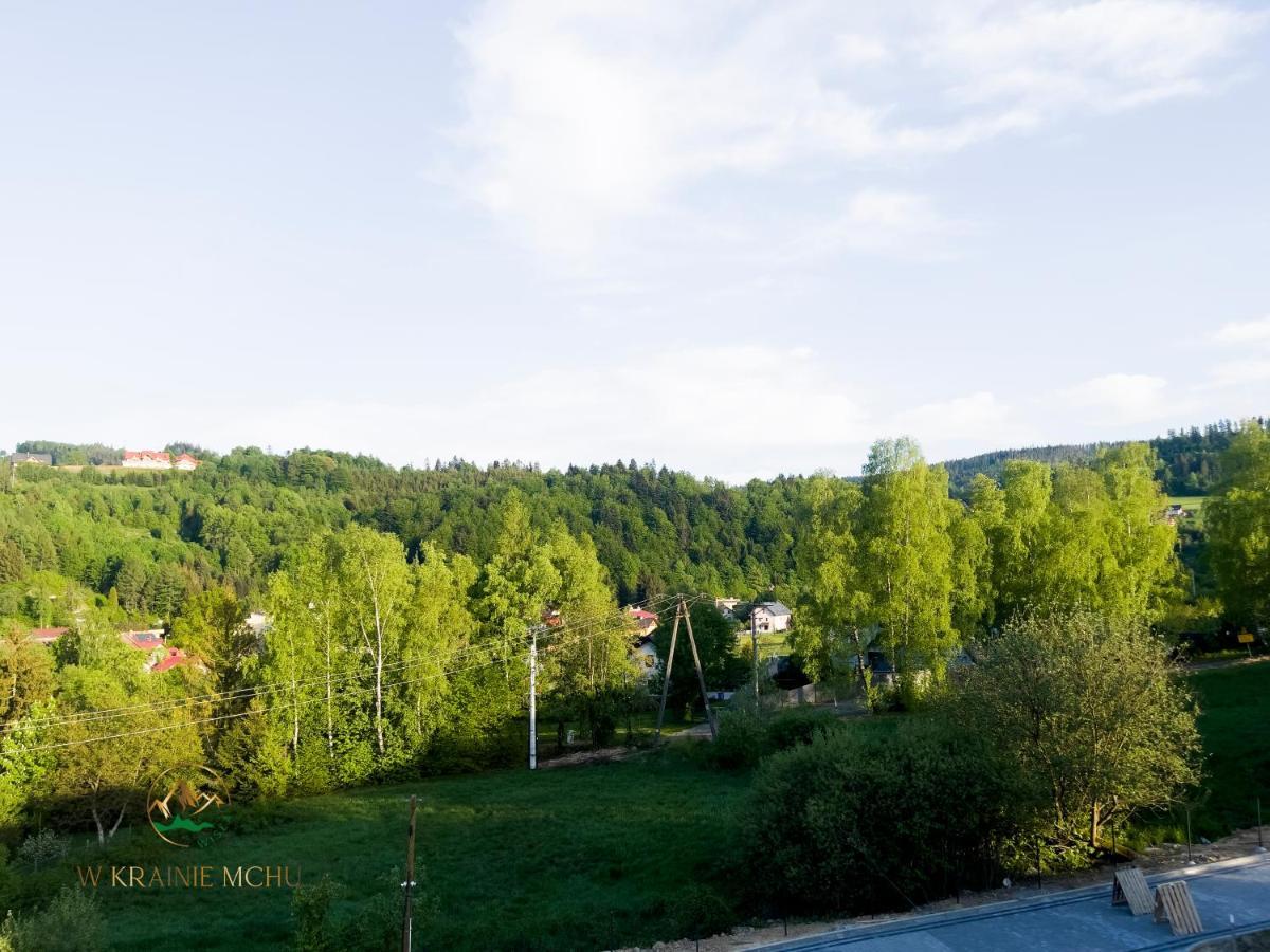 Apartamenty "Kwiaty Nocy" I "W Krainie Mchu" - Wisla Wisła Exterior foto
